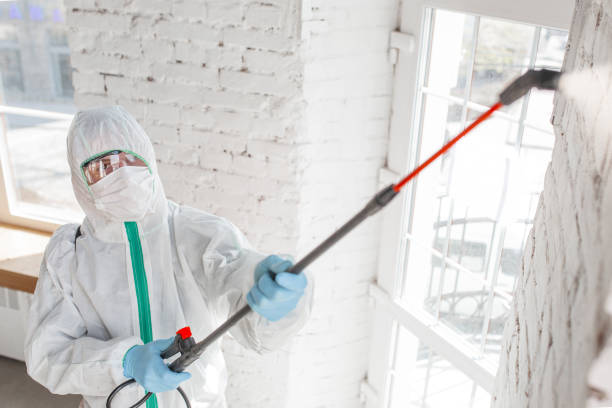 Best Mold Damage Restoration  in Laramie, WY
