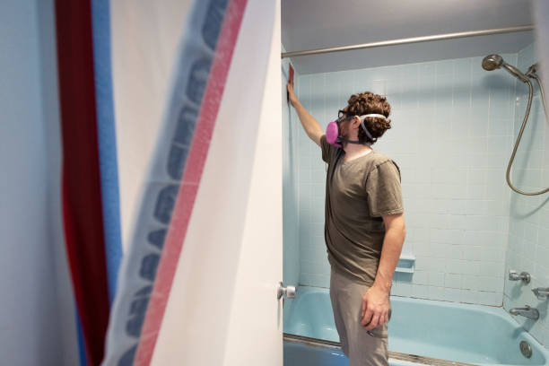  Laramie, WY Mold Removal Pros