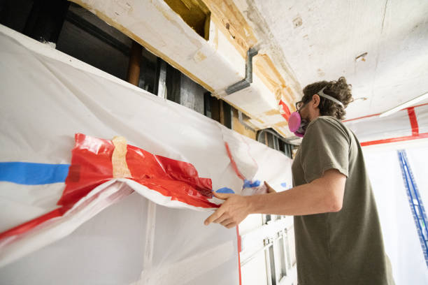 Reliable Laramie, WY Mold Removal Solutions