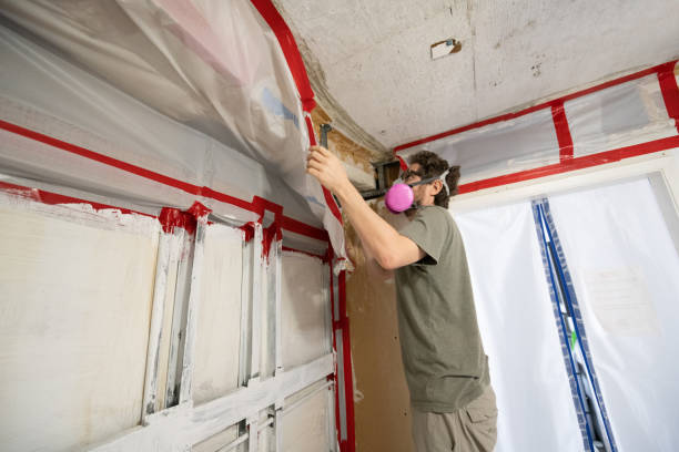 Best HVAC Mold Inspection and Cleaning  in Laramie, WY