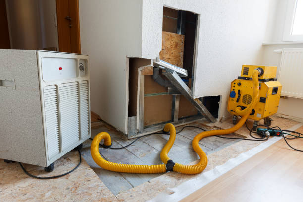 Mold Remediation for Rental Properties in Laramie, WY