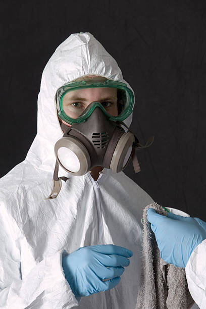 Best Mold Removal for HVAC Installations  in Laramie, WY